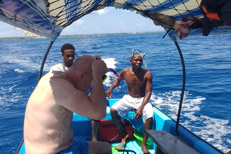 Delfiny i nurkowanie z rurką na Zanzibarze: wycieczka na wyspę MnembaDelfiny i snorkeling na Zanzibarze: wycieczka na wyspę Mnemba