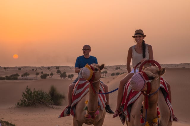 Dubai: Camel &amp; Horse Ride, Al Khayma Camp, Stargazing, &amp; BBQ