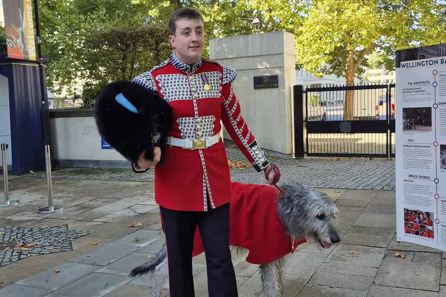 London: Familientour zur Tierarmee der Guards. Foto: GetYourGuide London: Familientour zur Tierarmee der Guards. Foto: GetYourGuide
