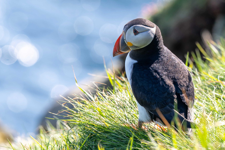 Edinburgh: 3-Day Small-Group Isle of Skye & Highlands