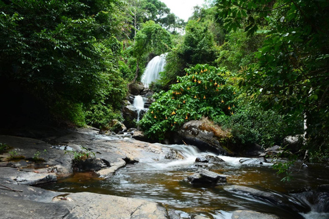 Vandring i Doi Inthanon nationalpark &amp; vandring på Pha Dok Siew Trail