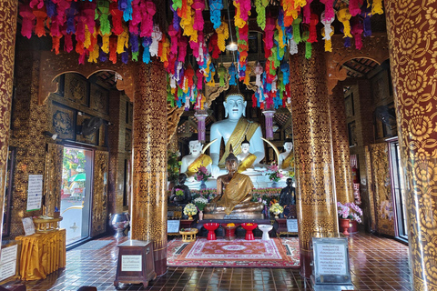Old Chiangmai city & temples walking tour: (3 hours/1.7 km.)