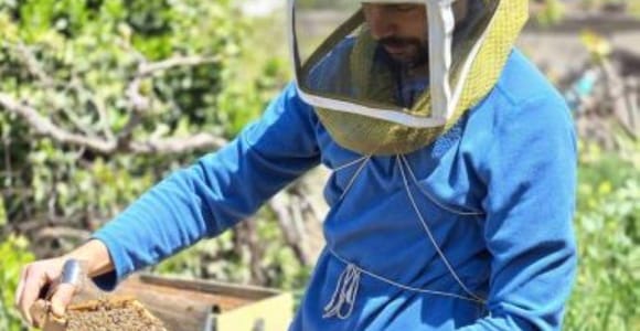 Naxos: Cheese, Olive Oil, and Honey Tasting Tour with Pickup