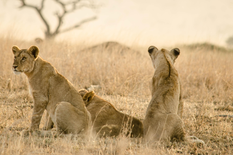Lake Manyara: 3-daagse safari