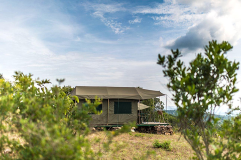 3 Day Safari in Akagera National Park