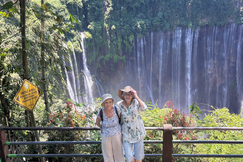 Jakarta: Java to Bali Train Tour with Hotels