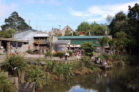 Auckland: Matakana Village, Omaha Beach, & Honey Tour