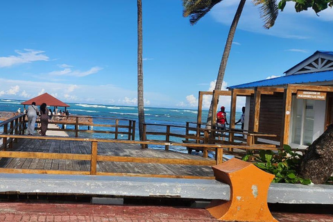 普拉塔港：从泰诺湾/安伯湾出发的猴子之旅和城市之旅普拉塔港：塔伊诺湾/安伯湾的猴子之旅和城市之旅