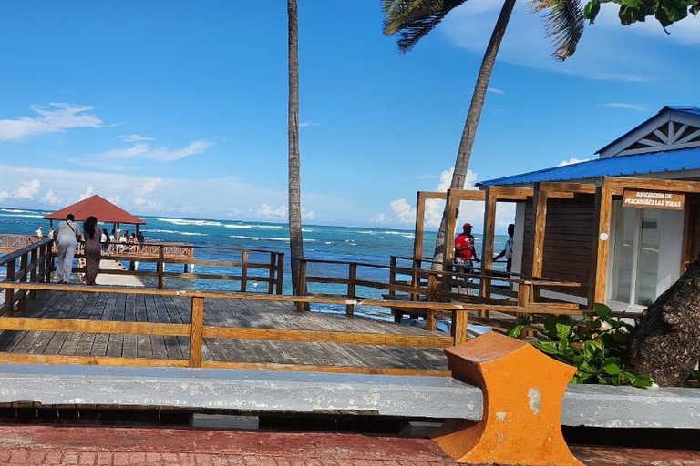 普拉塔港：从泰诺湾/安伯湾出发的猴子之旅和城市之旅普拉塔港：塔伊诺湾/安伯湾的猴子之旅和城市之旅