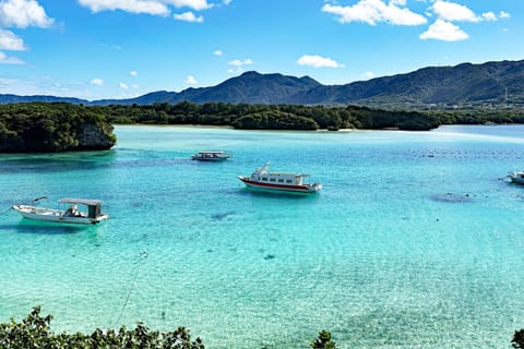 Ishigaki Island: Private Shore Excursion with port pick up - Image 2
