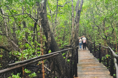 Zanzibar: Guidad tur i Jozani Forest National Park