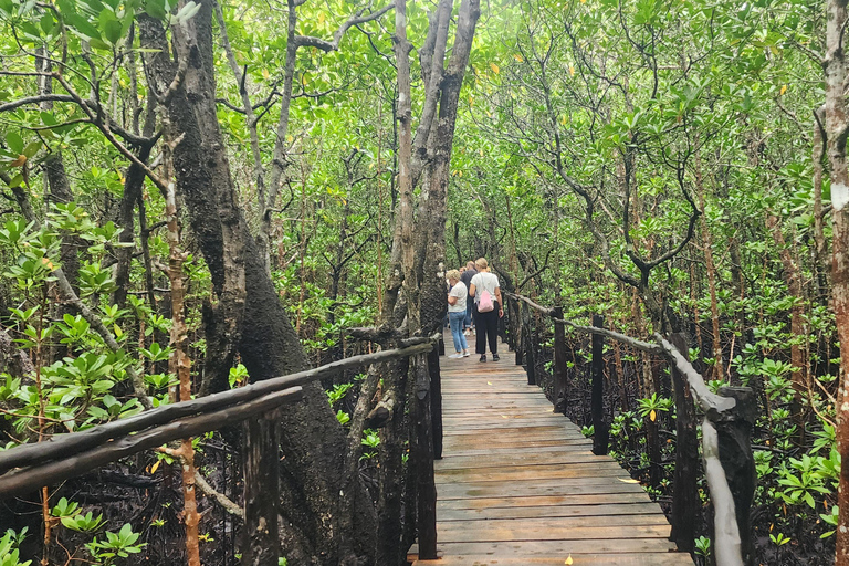 Zanzibar : visite guidée du parc national de la forêt de Jozani