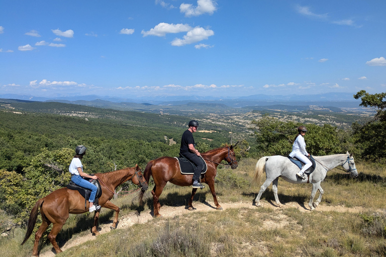 Horseback riding in Provence Luberon