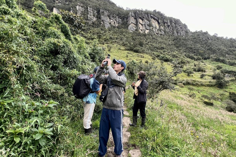 The Route of Water and Mist: Páramo Trek in Cruz Verde