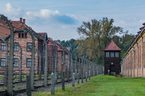 Vienne : Visite d'Auschwitz Birkenau