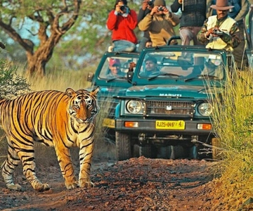 De Délhi: Excursão de 6 dias ao Triângulo Dourado com Ranthambore