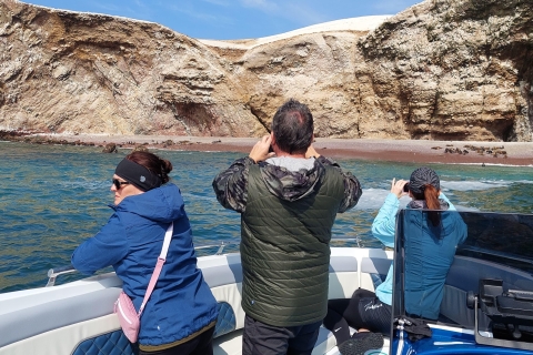 Excursión de un día: Islas Ballestas y Reserva Natural de Paracas