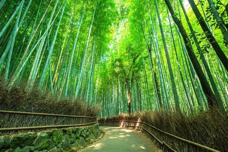 3-Day Tokyo to Kyoto Alps Tour:Shirakawa-go&Takayama&Magome Driver Only
