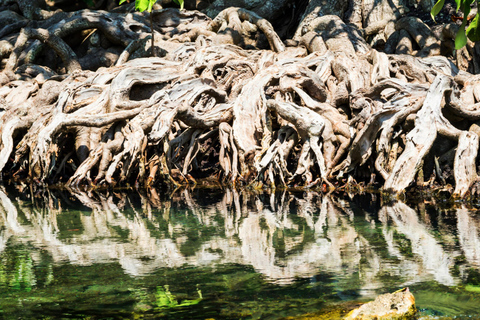 Ao Nang: Crystal Pool Kayaking, ATV, and Pineapple Farm Tour 1-Hour ATV Ride