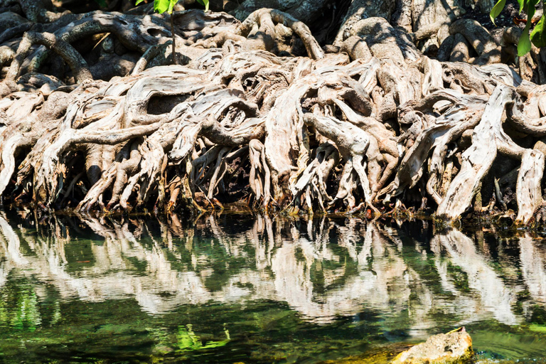 Ao Nang: Crystal Pool Kayaking, ATV, and Pineapple Farm Tour45-Minute ATV Ride