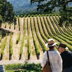 San Francisco: tour enologico della Napa Valley e della Sonoma Valley