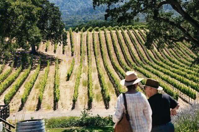 San Francisco: tour enologico della Napa Valley e della Sonoma Valley