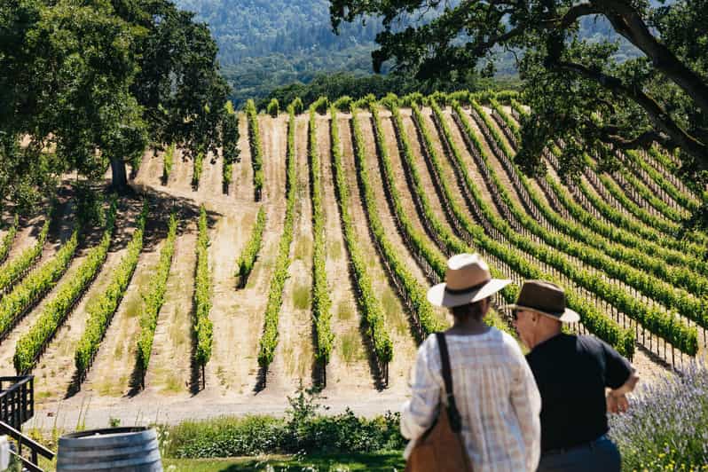 San Francisco: wijnreis naar Napa en Sonoma Valley