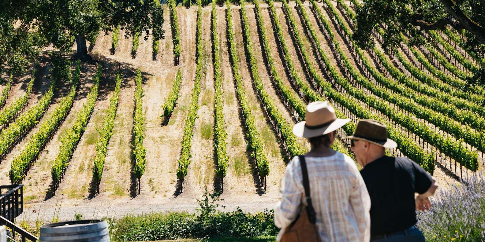 San Francisco: Napa and Sonoma Valley Wine Tour