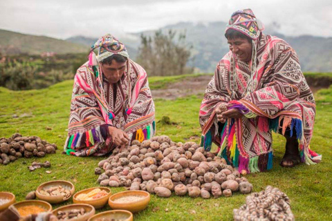 Cusco: Półdniowa wizyta w Parku Ziemniaka