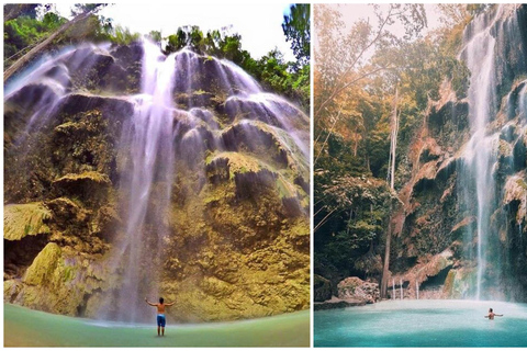 Cebu: nuoto con gli squali balena di Oslob e tour dell&#039;isola di Sumilon