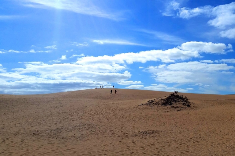 Fuerteventura: tour met panorama-uitzicht