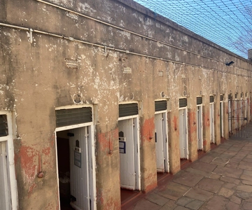 Johannesburg: Constitution Hill Guided Tour