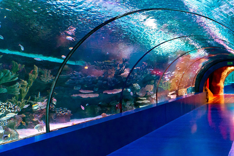 Antalya: Aquarium Tour with Hotel Pickup & Combo Options Antalya Aquarium & Wax Museum Entry Ticket