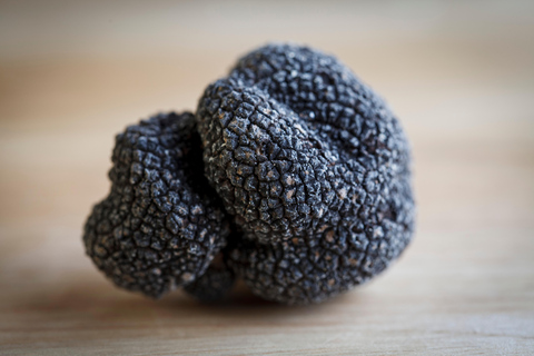 Discover the secret world of truffles