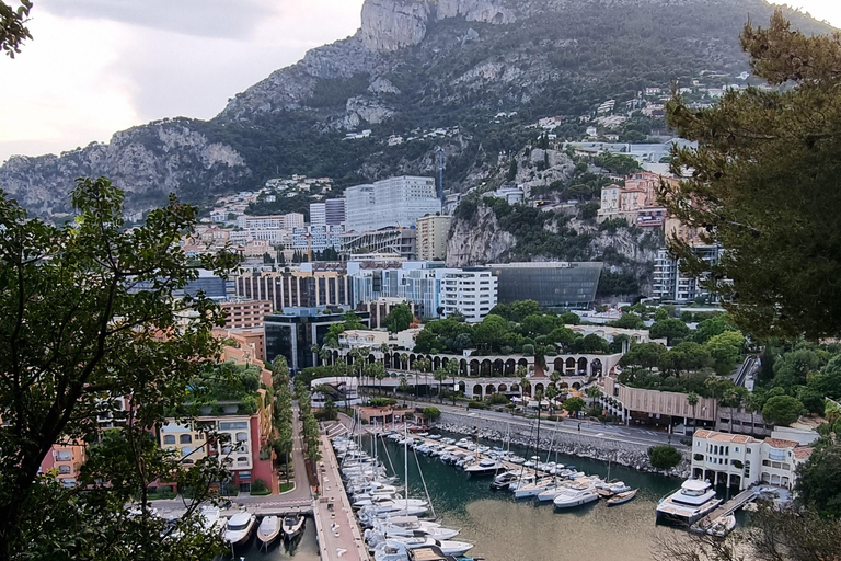 From Nice: Tour of the Most Beautiful Places