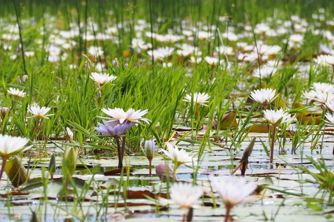 Maun: Okavango Delta Mahango Mokoro Tour with Local Guide