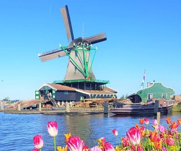 Zaanse Schans & Volendam Private Tour: Windmills and Cheese