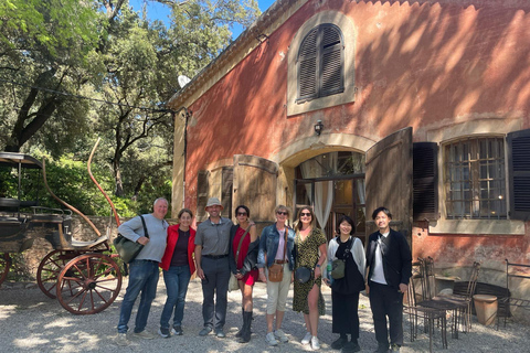 Côtes de Provence Wein Tour ab NizzaAb Nizza: Weintour im Anbaugebiet Côtes de Provence