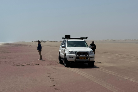 Walvisbay: Sandwich Harbour 4x4 Tour-Unparalleled Experience