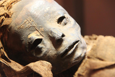 Tour privato delle piramidi di Giza, del museo delle mummie e del bazarTour privato