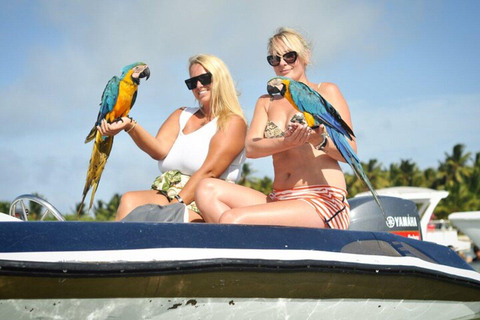 蓬塔卡纳：快艇和浮潜之旅蓬塔卡纳：私人快艇和浮潜之旅