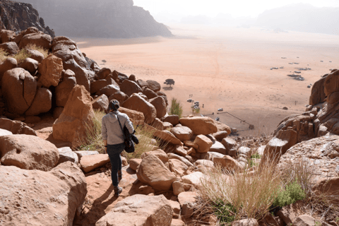 Från Wadi Rum: 4 timmars jeeptur eller jeeptur vid solnedgångenFrån Wadi Rum: 4-timmars kvällstur med jeep utan solnedgång