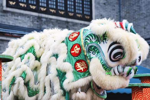 Guangzhou: Foshan Kung Fu Tour with Lion Dance Show Private Guangzhou: Foshan Kung Fu Tour with Lion Dance Show