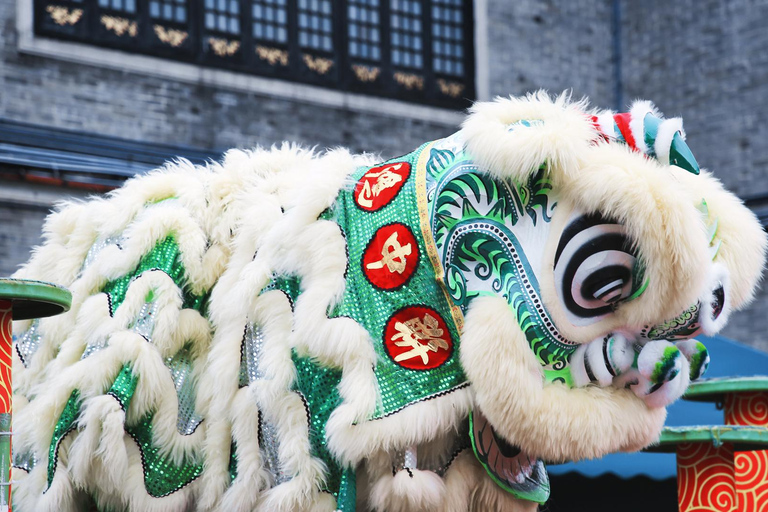 Guangzhou: Foshan Kung Fu Tour with Lion Dance Show