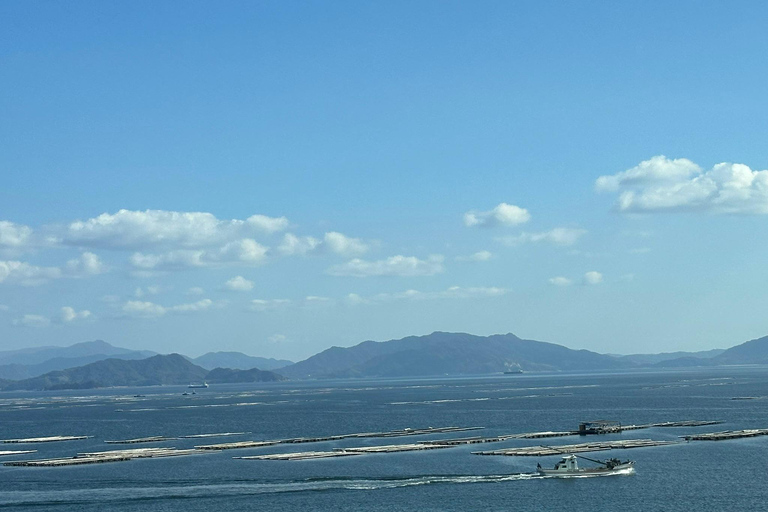 Hiroshima &amp; Miyajima UNESCO 1 dag bustourVanaf JR Hiroshima Station (zonder lunch)