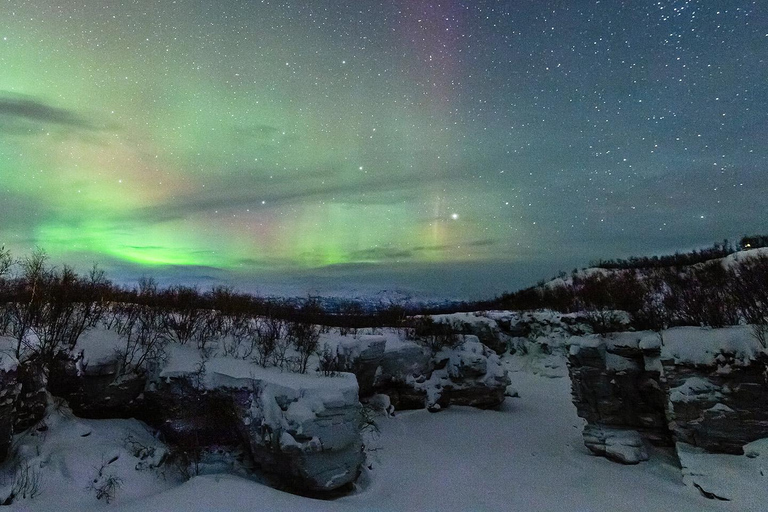 Kiruna: Abisko Northern Lights Tour with Dinner