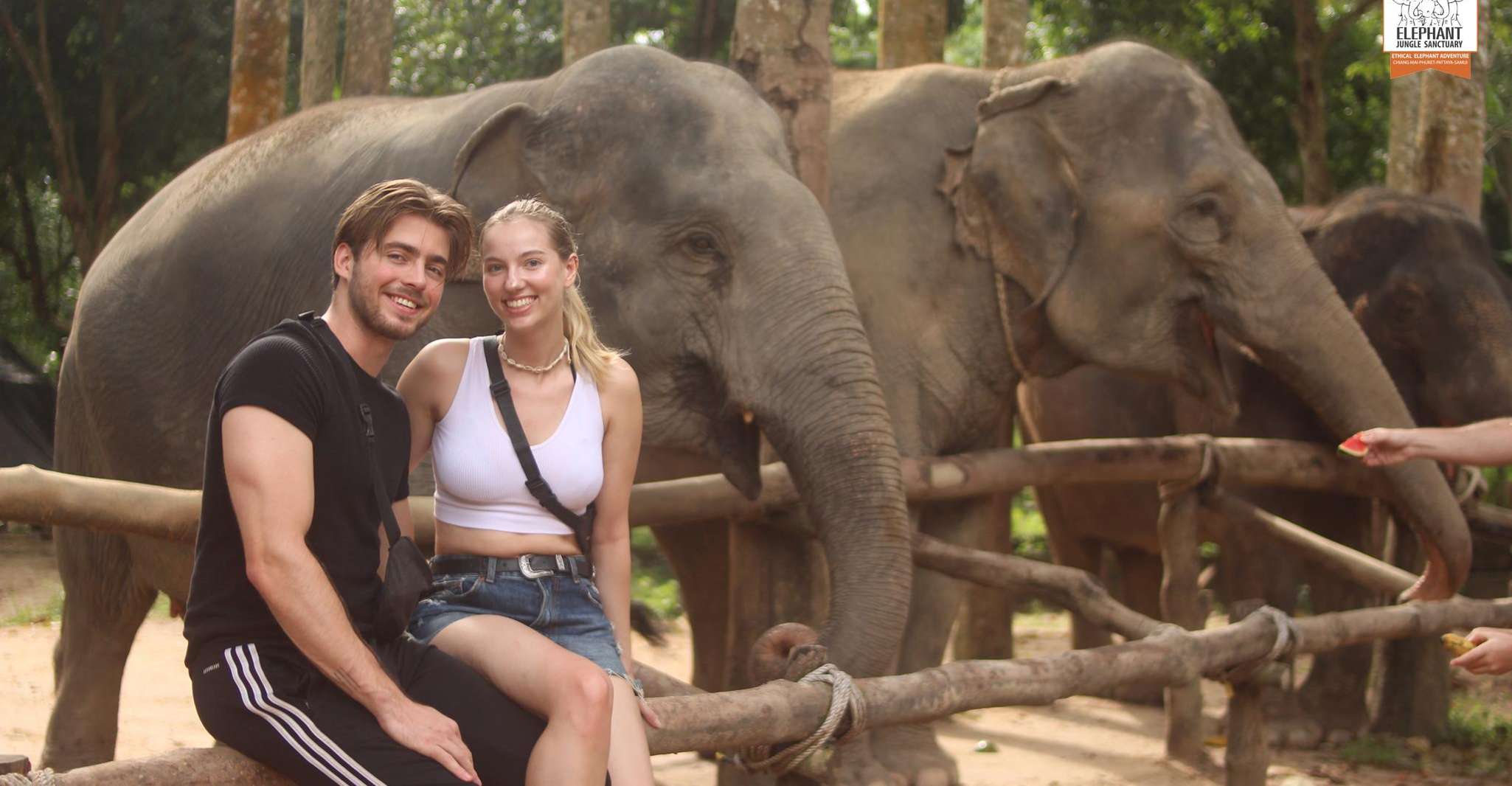 Koh Samui, Elephant Sanctuary Entry and Feeding Experience - Housity