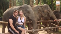 Koh Samui, Elephant Sanctuary Entry und Feeding Experience - Housity