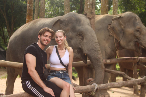 Koh Samui: Elephant Sanctuary Entry and Feeding Experience