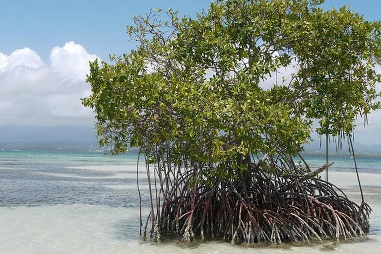 Guadeloupe: Small Day Cruise to Ilet Caret and Coral Reef